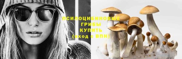наркотики Аркадак