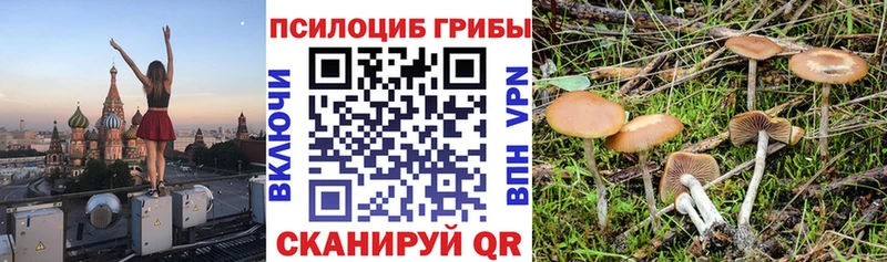 МЕГА   купить наркоту  Рассказово  Галлюциногенные грибы GOLDEN TEACHER 