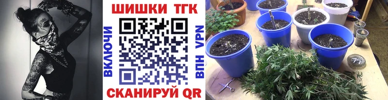Шишки марихуана гибрид  дарнет шоп  Рассказово 
